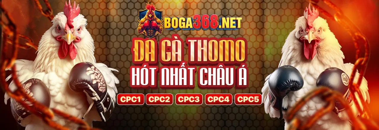 Người chơi đang tập trung áp dụng chiến thuật cá cược tại bet 169