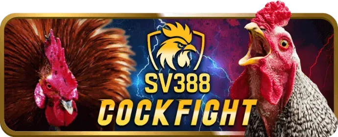Chiến thuật chơi game bài hiệu quả
